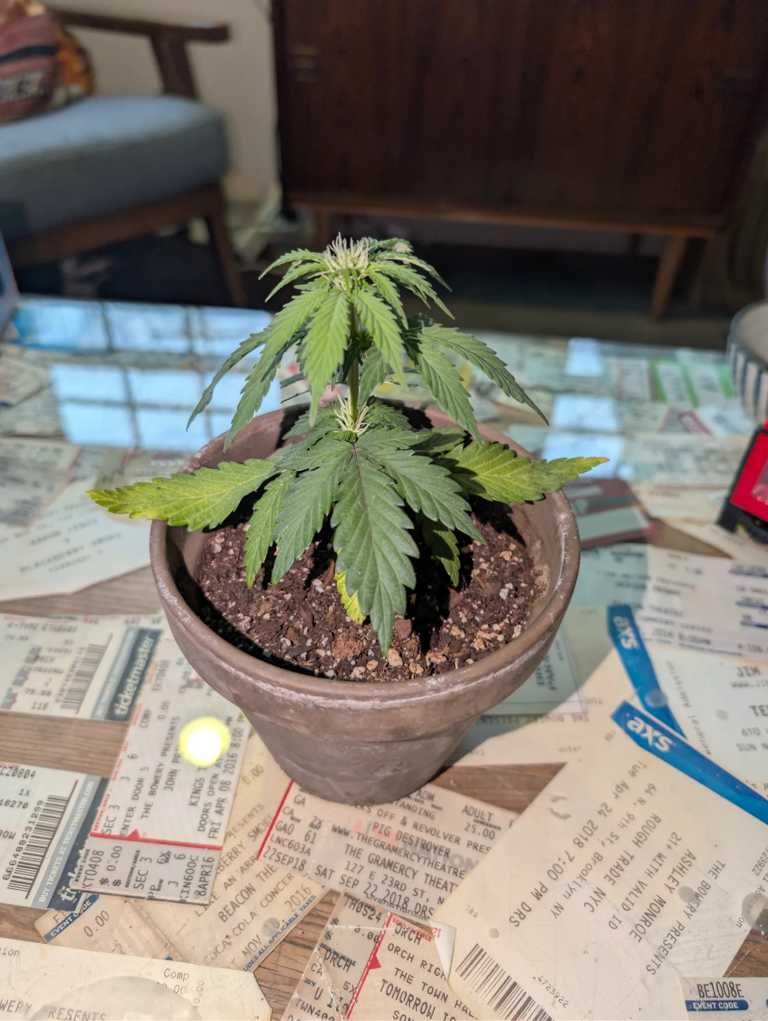 Day 42 - Growth Acceleration