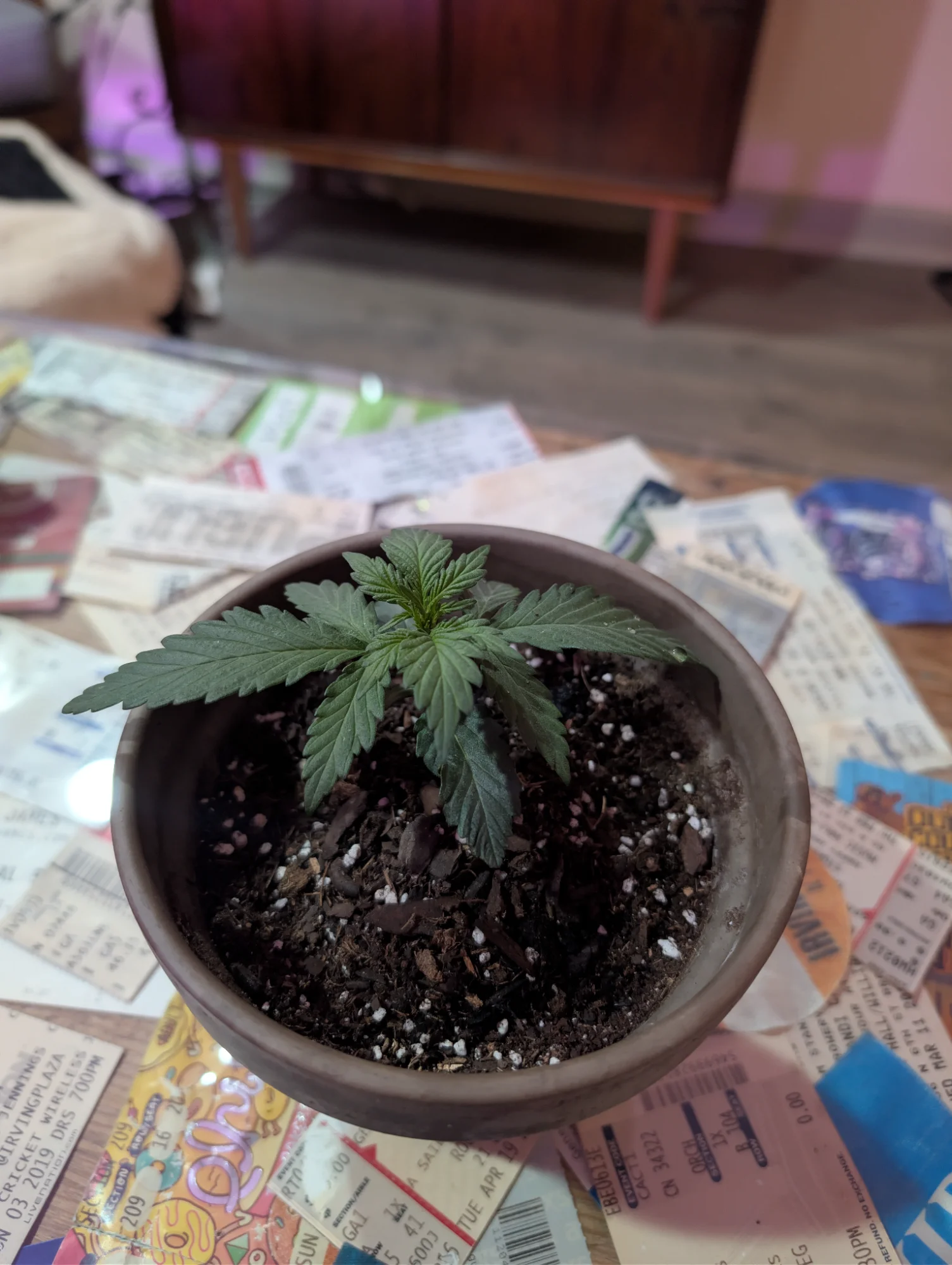 Day 28 - Side Profile